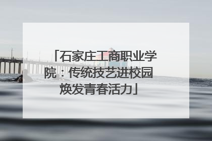 石家庄工商职业学院：传统技艺进校园焕发青春活力