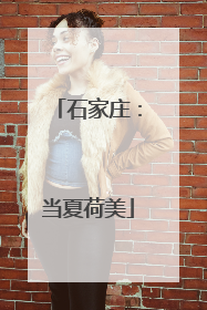 石家庄：当夏荷美