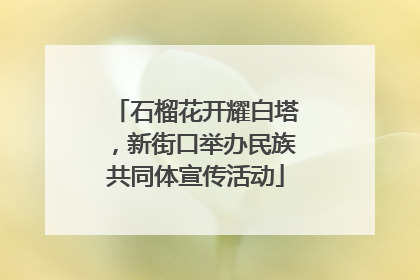 石榴花开耀白塔，新街口举办民族共同体宣传活动