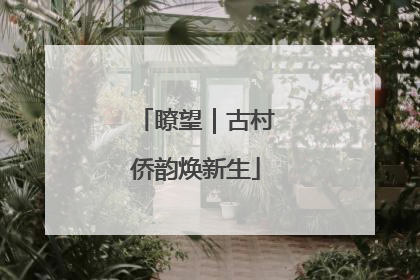 瞭望｜古村侨韵焕新生
