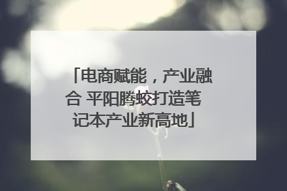 电商赋能，产业融合 平阳腾蛟打造笔记本产业新高地