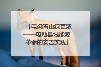 电染青山绿更浓——电助县域能源革命的安吉实践