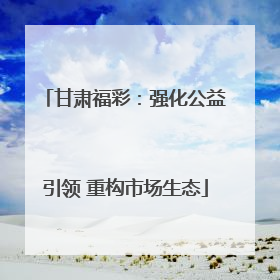甘肃福彩：强化公益引领 重构市场生态