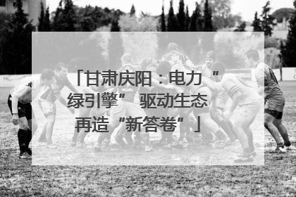 甘肃庆阳：电力“绿引擎” 驱动生态再造“新答卷”