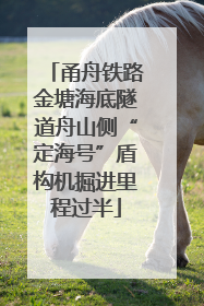 甬舟铁路金塘海底隧道舟山侧“定海号”盾构机掘进里程过半