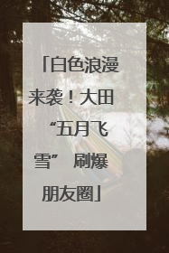 白色浪漫来袭！大田 “五月飞雪” 刷爆朋友圈