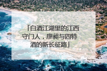 白酒江湖里的江西守门人，廖昶与四特酒的新长征路