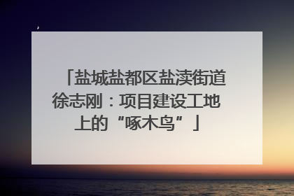 盐城盐都区盐渎街道徐志刚：项目建设工地上的“啄木鸟”