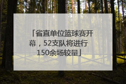 省直单位篮球赛开幕，52支队将进行150余场较量