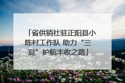 省供销社驻正阳县小陈村工作队 助力“三夏”护航丰收之路