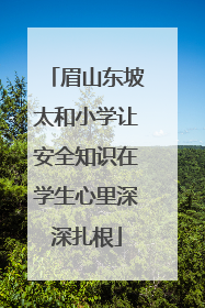 眉山东坡太和小学让安全知识在学生心里深深扎根