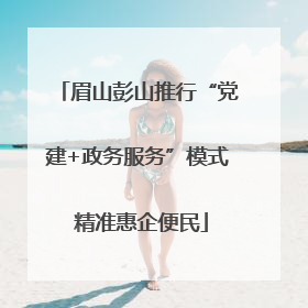 眉山彭山推行“党建+政务服务”模式 精准惠企便民