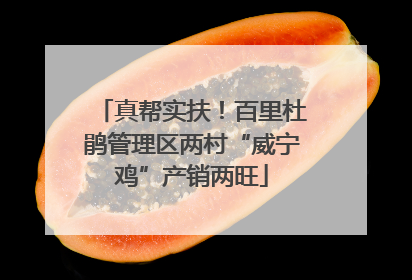 真帮实扶！百里杜鹃管理区两村“威宁鸡”产销两旺