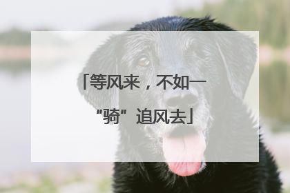等风来，不如一“骑”追风去