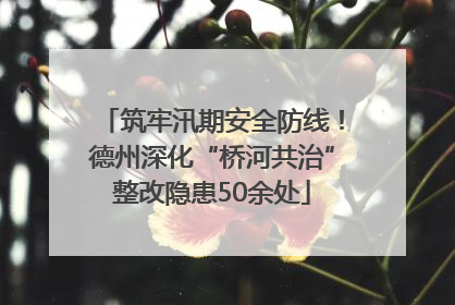 筑牢汛期安全防线！德州深化“桥河共治”整改隐患50余处