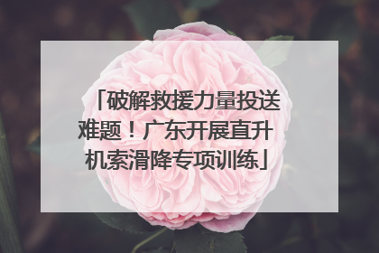 破解救援力量投送难题！广东开展直升机索滑降专项训练