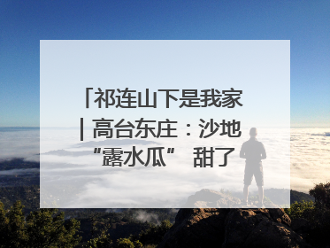祁连山下是我家｜高台东庄：沙地“露水瓜” 甜了舌尖 富了农家