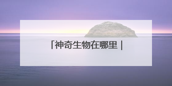 神奇生物在哪里｜比大熊猫更稀少！湖南新宁成功救护濒危鸟类海南鳽
