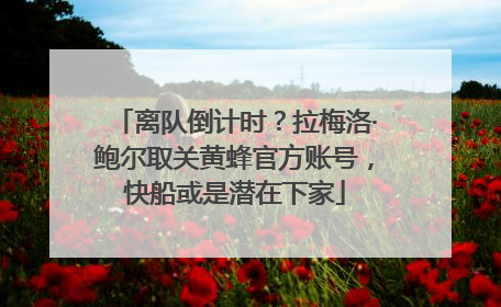 离队倒计时？拉梅洛·鲍尔取关黄蜂官方账号，快船或是潜在下家