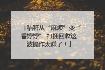 秸秆从“麻烦”变“香饽饽” 打捆回收这波操作太赚了！