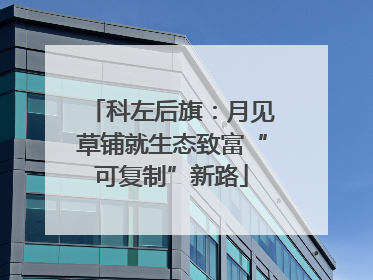 科左后旗：月见草铺就生态致富“可复制”新路
