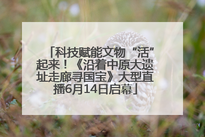 科技赋能文物“活”起来！《沿着中原大遗址走廊寻国宝》大型直播6月14日启幕