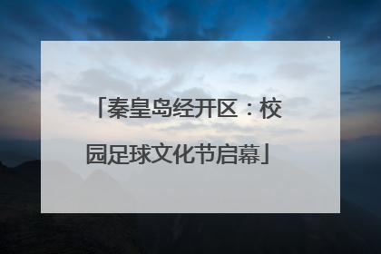 秦皇岛经开区：校园足球文化节启幕