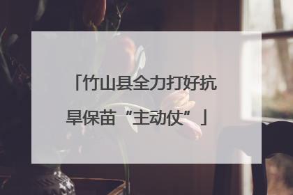 竹山县全力打好抗旱保苗“主动仗”