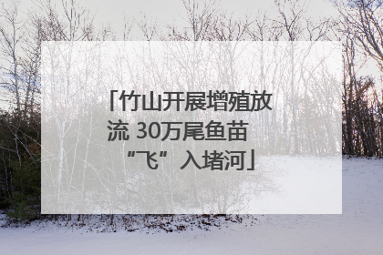 竹山开展增殖放流 30万尾鱼苗“飞”入堵河