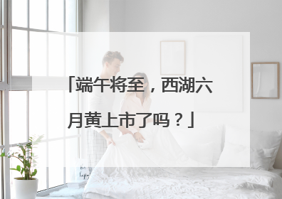 端午将至，西湖六月黄上市了吗？