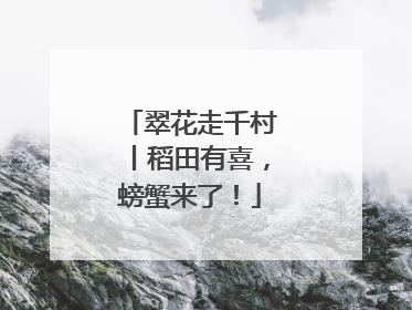 翠花走千村丨稻田有喜，螃蟹来了！