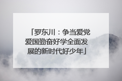 罗东川：争当爱党爱国勤奋好学全面发展的新时代好少年