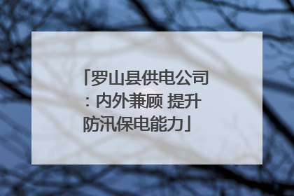 罗山县供电公司：内外兼顾 提升防汛保电能力