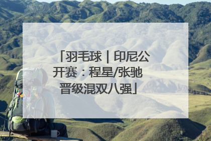 羽毛球｜印尼公开赛：程星/张驰晋级混双八强