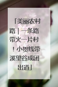 美丽农村路｜一条路带火一片村！小贺线带溪望谷成团出道