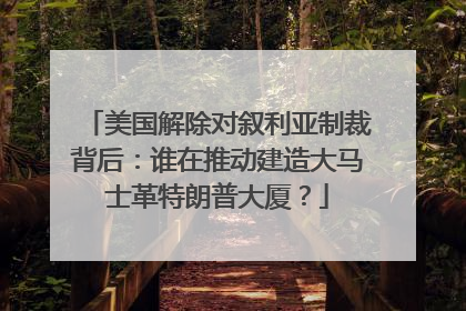 美国解除对叙利亚制裁背后：谁在推动建造大马士革特朗普大厦？