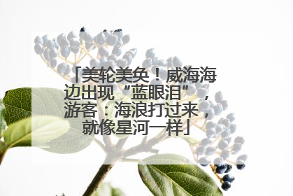美轮美奂！威海海边出现“蓝眼泪”，游客：海浪打过来，就像星河一样