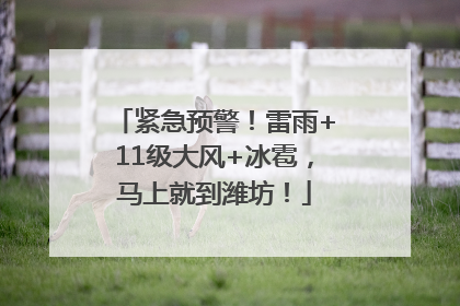 紧急预警！雷雨+11级大风+冰雹，马上就到潍坊！