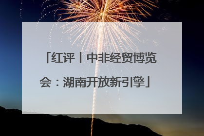 红评丨中非经贸博览会：湖南开放新引擎