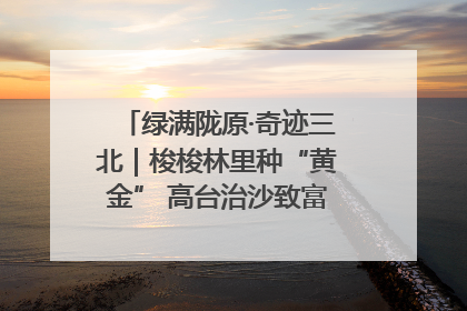 绿满陇原·奇迹三北｜梭梭林里种“黄金” 高台治沙致富很“从容”