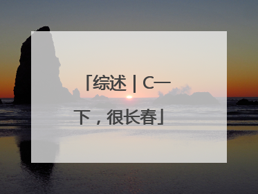 综述｜C一下，很长春