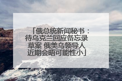 俄总统新闻秘书：待乌克兰回应备忘录草案 俄美乌领导人近期会晤可能性小