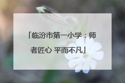 临汾市第一小学：师者匠心 平而不凡