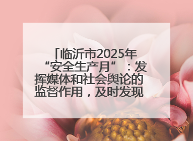 临沂市2025年“安全生产月”：发挥媒体和社会舆论的监督作用，及时发现并消除安全隐患