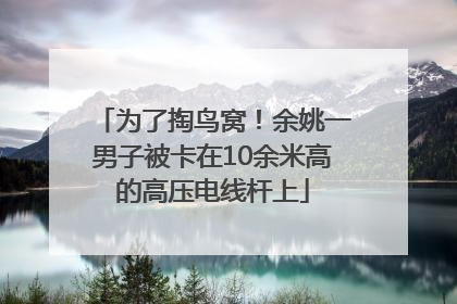 为了掏鸟窝！余姚一男子被卡在10余米高的高压电线杆上