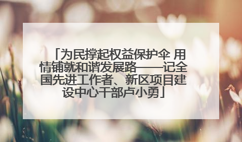 为民撑起权益保护伞 用情铺就和谐发展路——记全国先进工作者、新区项目建设中心干部卢小勇