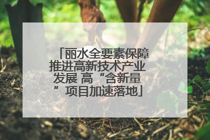 丽水全要素保障推进高新技术产业发展 高“含新量”项目加速落地