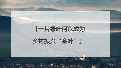 一片绿叶何以成为乡村振兴“金叶”