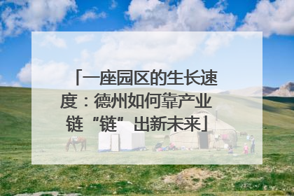 一座园区的生长速度：德州如何靠产业链“链”出新未来