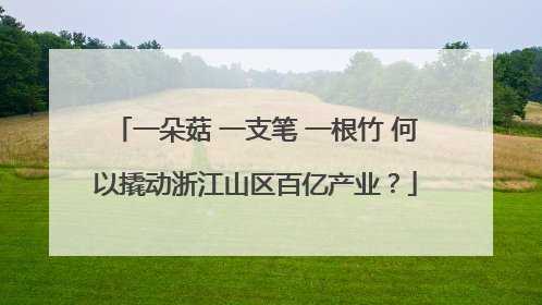 一朵菇 一支笔 一根竹 何以撬动浙江山区百亿产业？